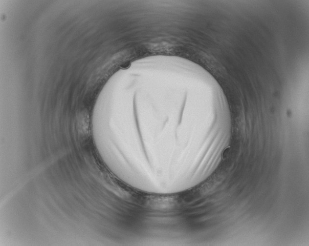 X0000054430081200508262358