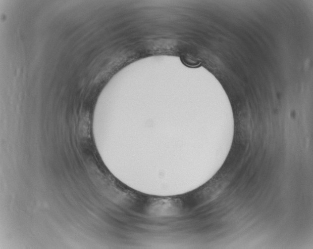 X0000054430083200508262358