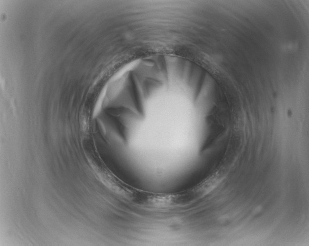 X0000054430084200508262358