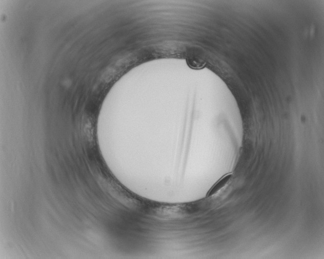 X0000054430086200508262358