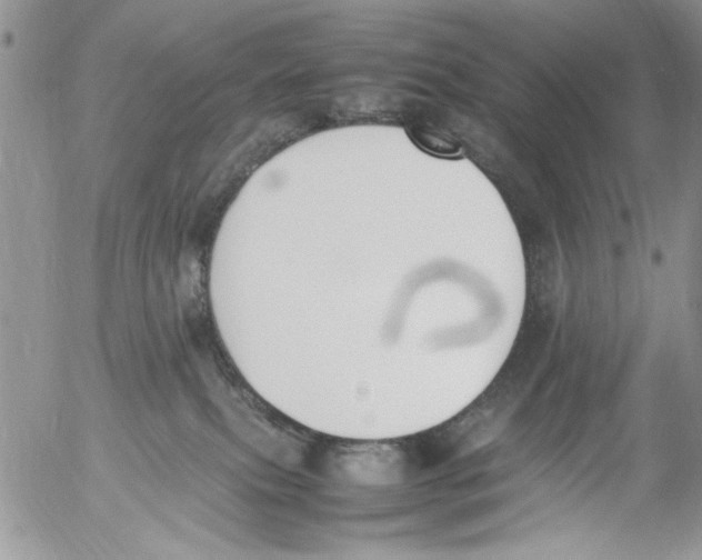 X0000054430087200508262358