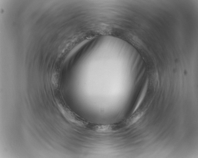 X0000054430088200508262358