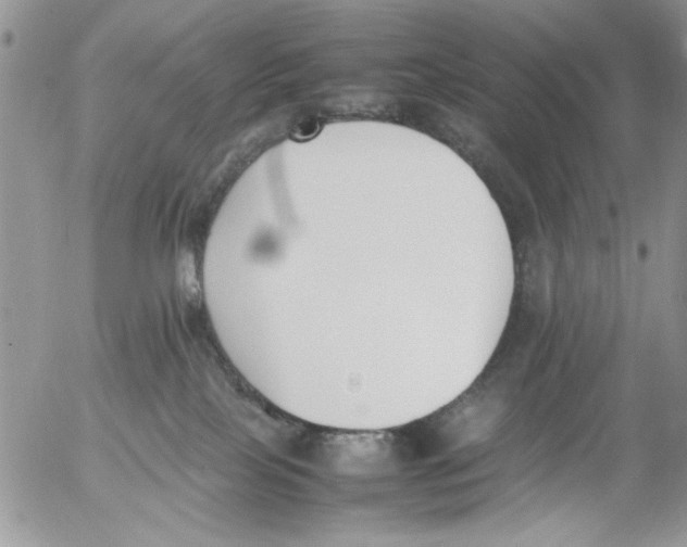 X0000054430089200508262358