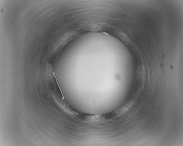 X0000054430092200508262358