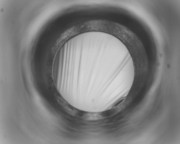 X0000054430093200508262358