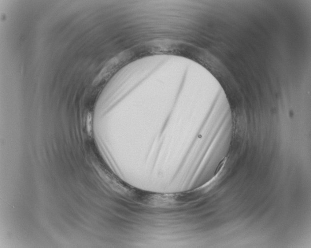 X0000054430094200508262358