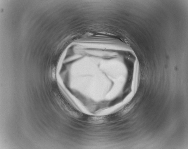 X0000054430095200508262358