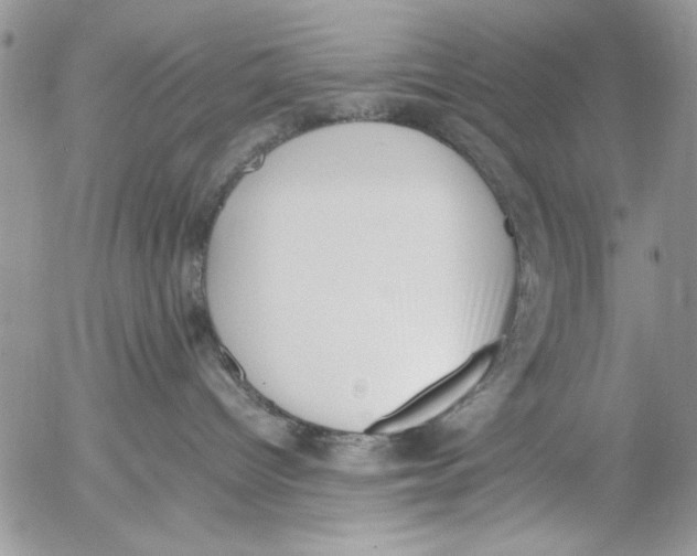 X0000054430096200508262358