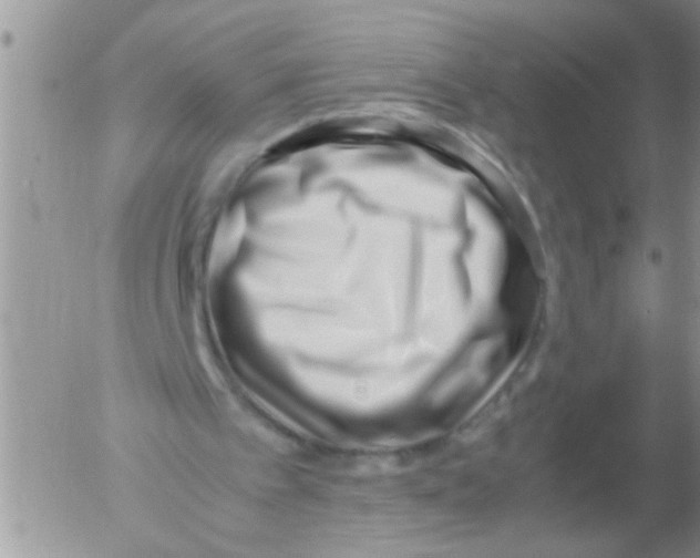 X0000054430097200508262357