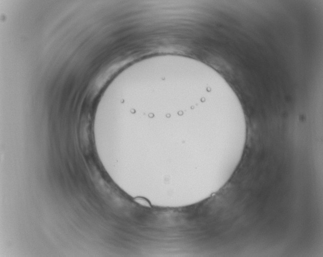 X0000054430098200508262357