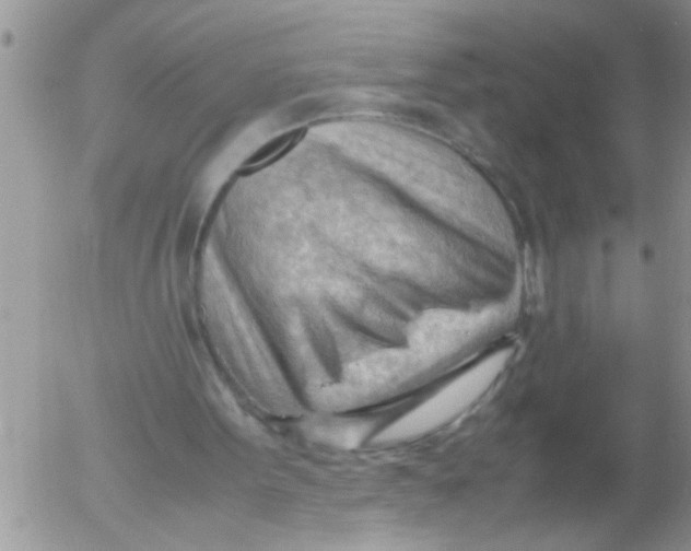 X0000054430099200508262357