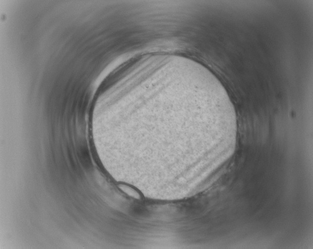 X0000054430100200508262357