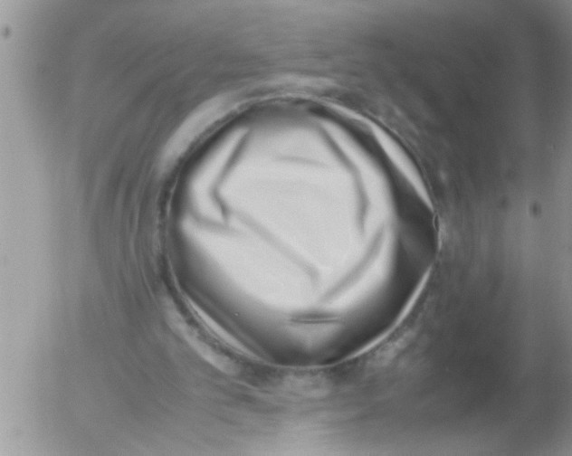 X0000054430101200508262357