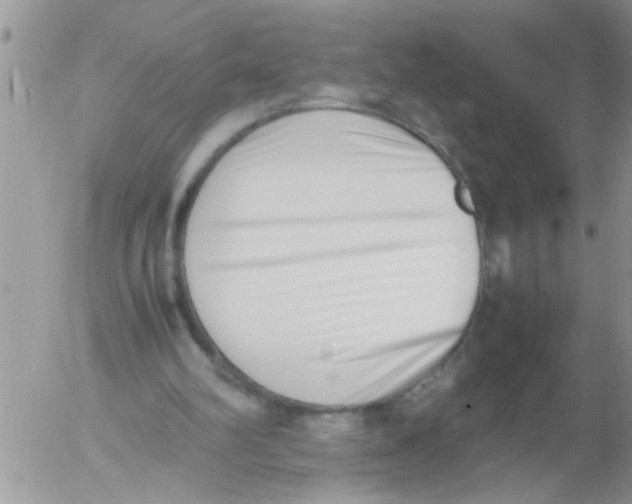 X0000054430102200508262357