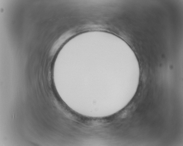 X0000054430103200508262357