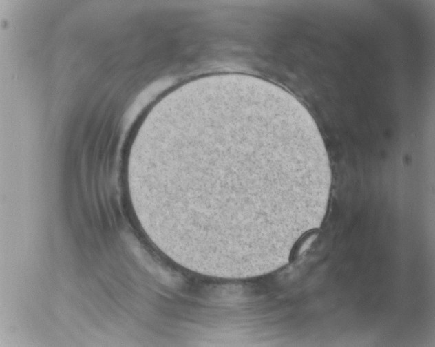 X0000054430104200508262357