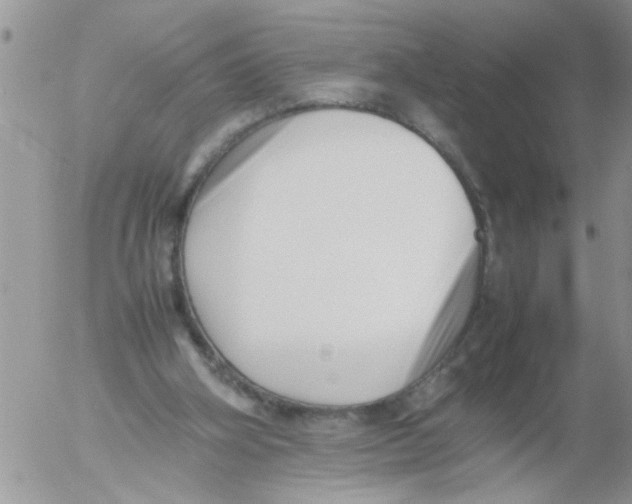 X0000054430106200508262357