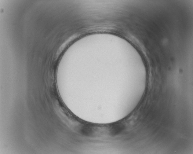 X0000054430107200508262357