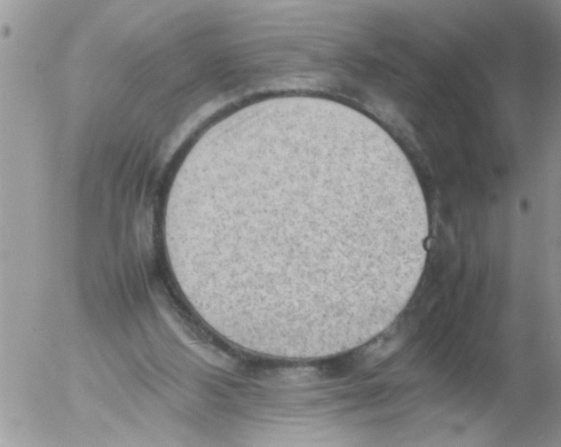 X0000054430108200508262357