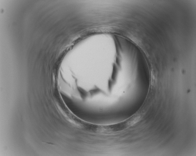 X0000054430109200508262357