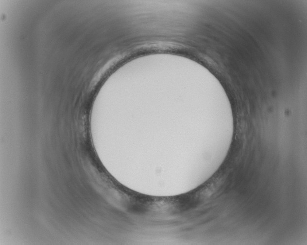 X0000054430111200508262357