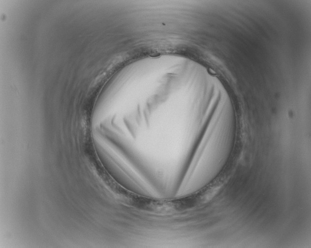 X0000054430113200508262357