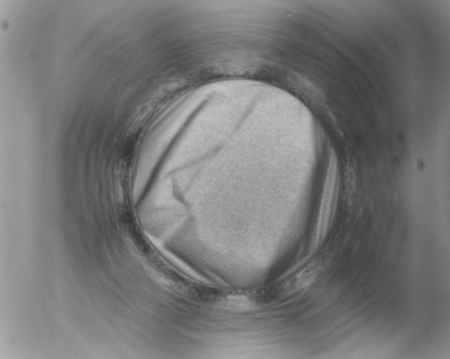 X0000054430114200508262357