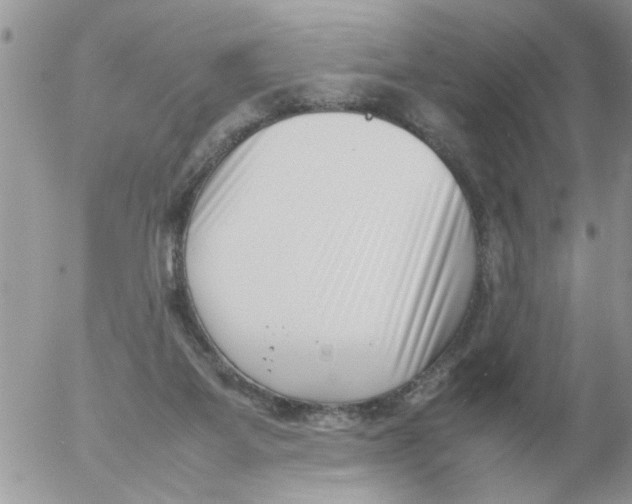 X0000054430115200508262357