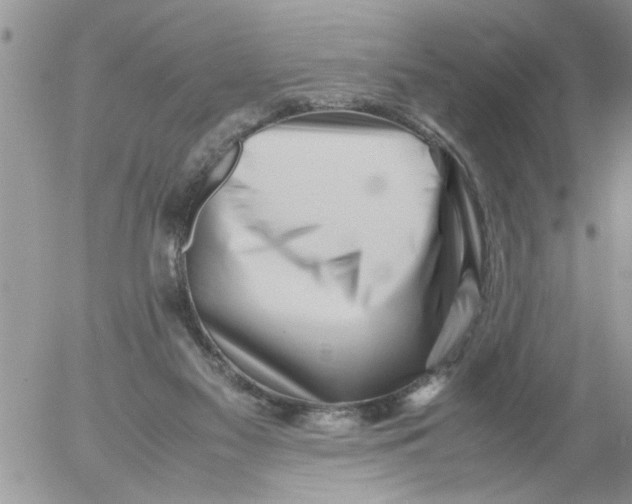 X0000054430117200508262357