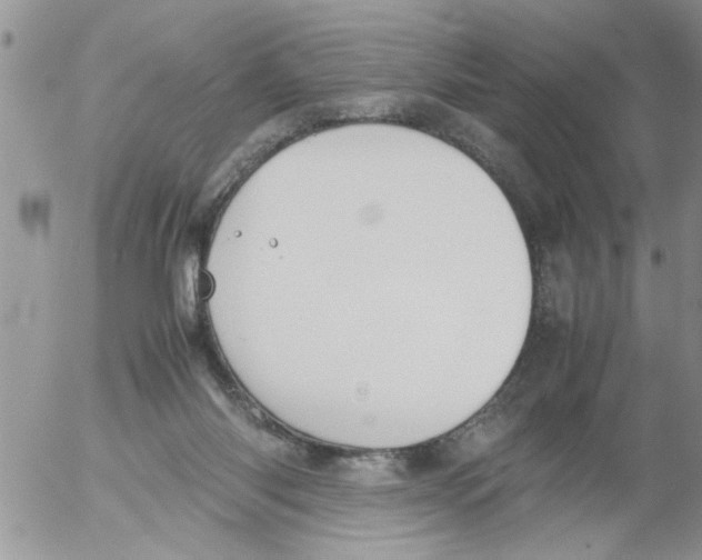 X0000054430118200508262357