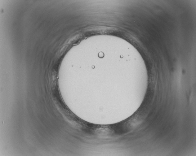 X0000054430119200508262357