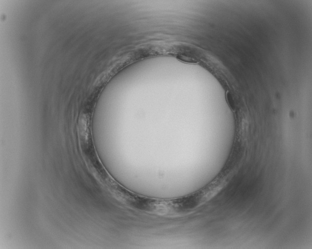 X0000054430121200508262357