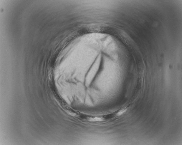 X0000054430125200508262357