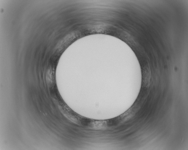 X0000054430126200508262357