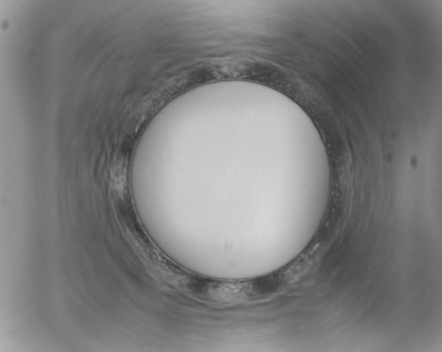 X0000054430129200508262357