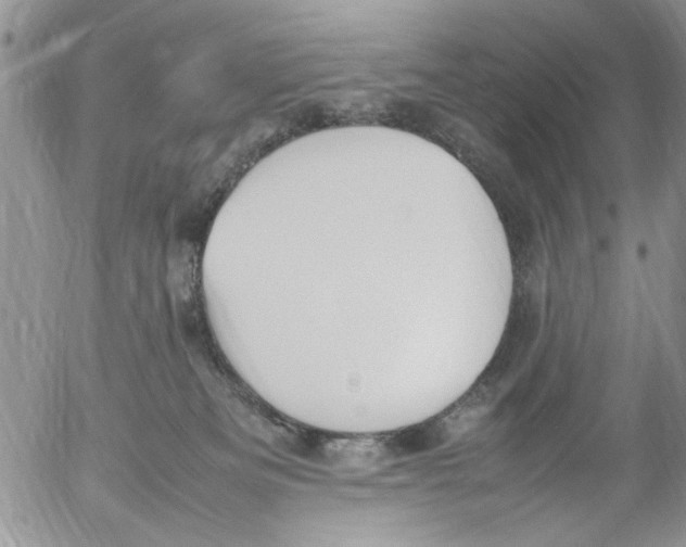 X0000054430133200508262357