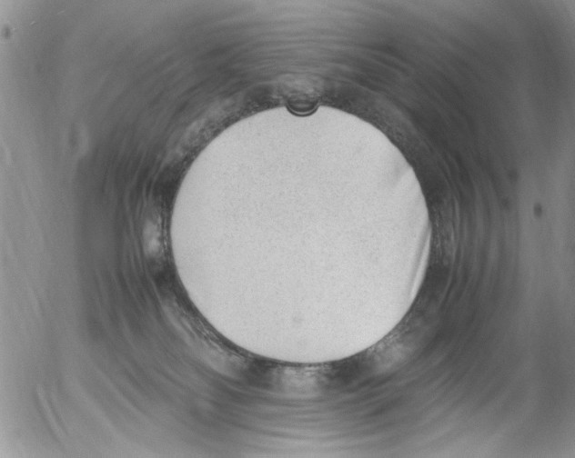 X0000054430134200508262357