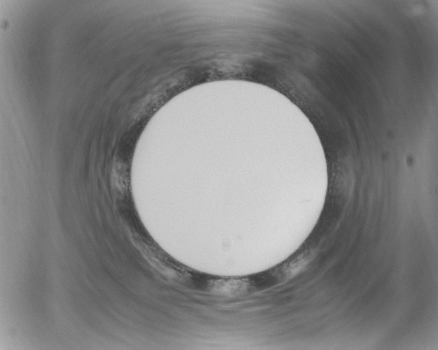 X0000054430135200508262357