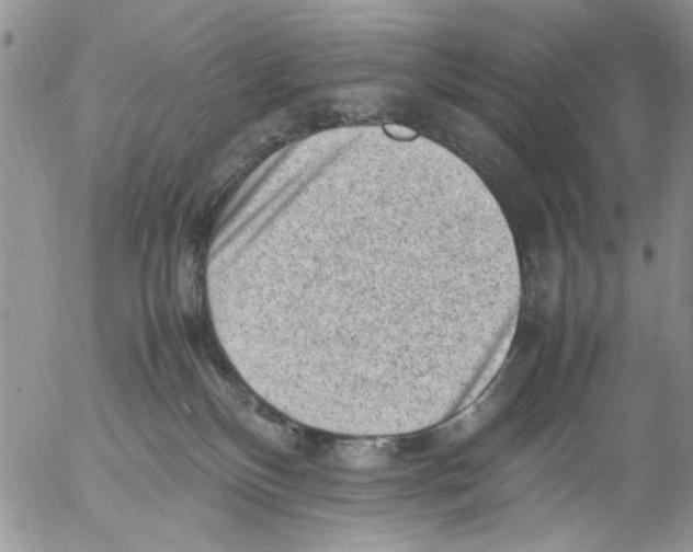 X0000054430136200508262357