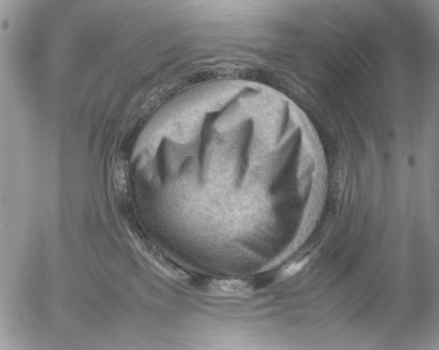 X0000054430137200508262357