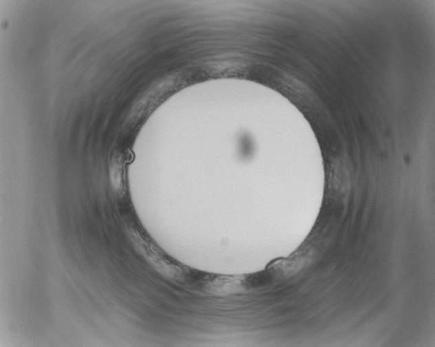 X0000054430138200508262357