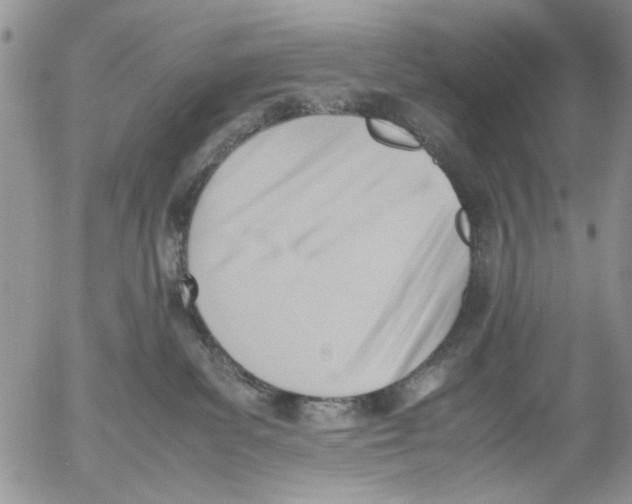 X0000054430139200508262357