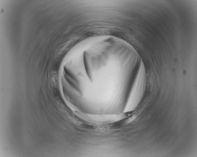 X0000054430141200508262357