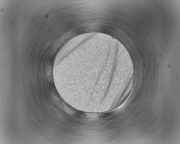 X0000054430144200508262357