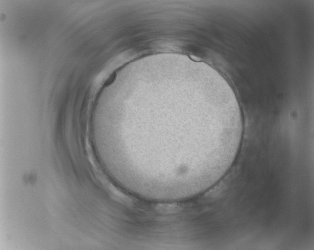 X0000054430145200508262356