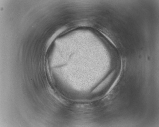 X0000054430147200508262356