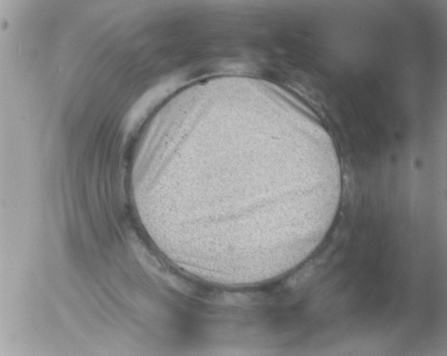 X0000054430149200508262356