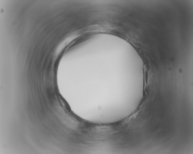 X0000054430150200508262356