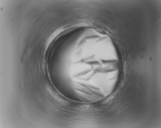 X0000054430152200508262356