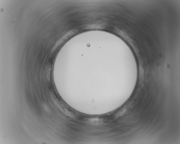 X0000054430153200508262356